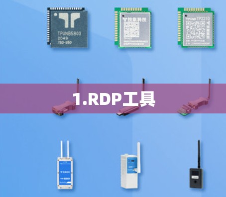 1.RDP工具