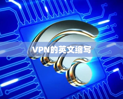VPN的英文缩写 VPN的英文缩写