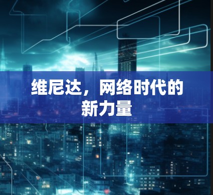 维尼达,网络时代的新力量 维尼达,网络时代的新力量