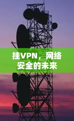 挂VPN，网络安全的未来