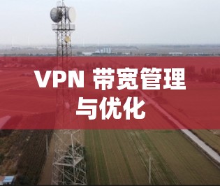 VPN 带宽管理与优化
