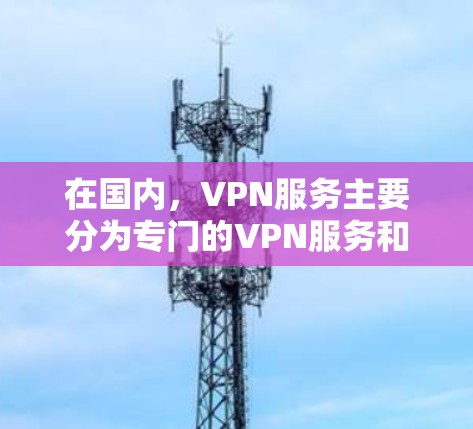在国内，VPN服务主要分为专门的VPN服务和社区网站。以下是对这些服务的详细介绍