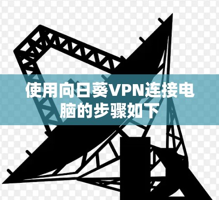 使用向日葵VPN连接电脑的步骤如下