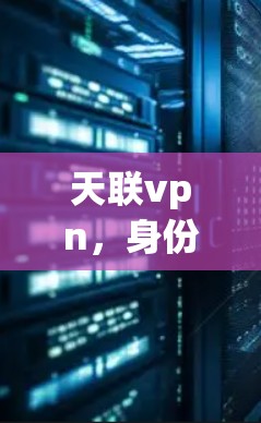 天联vpn，身份安全新标准，守护数据与隐私的双轮驱动
