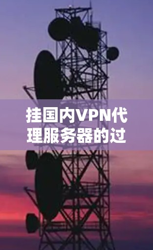 挂国内VPN代理服务器的过程主要分为以下几个步骤