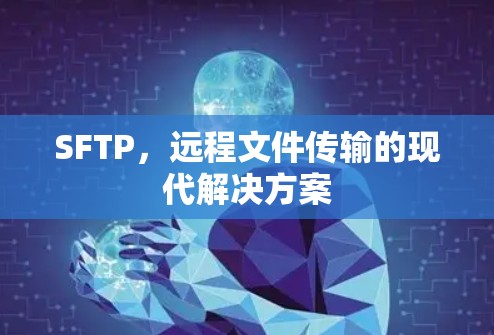 SFTP，远程文件传输的现代解决方案