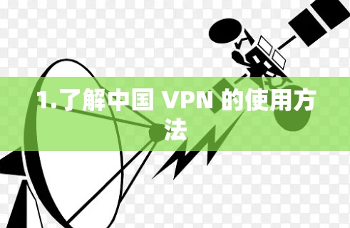 1.了解中国 VPN 的使用方法
