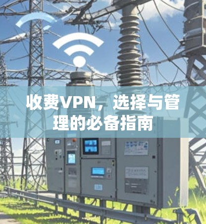 收费VPN,选择与管理的必备指南 收费VPN,选择与管理的必备指南