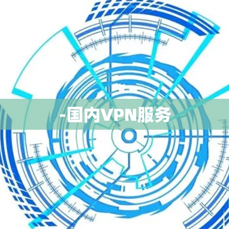 -国内VPN服务
