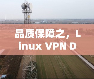 品质保障之,Linux VPN DNS 环境建设 品质保障之,Linux VPN DNS 环境建设