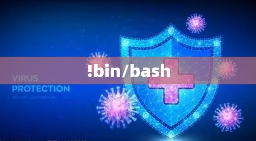 !bin/bash