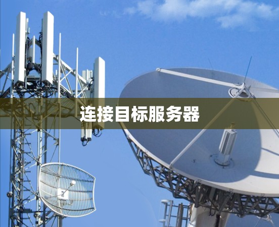 连接目标服务器 连接目标服务器