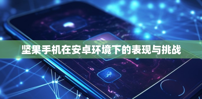 坚果手机在安卓环境下的表现与挑战