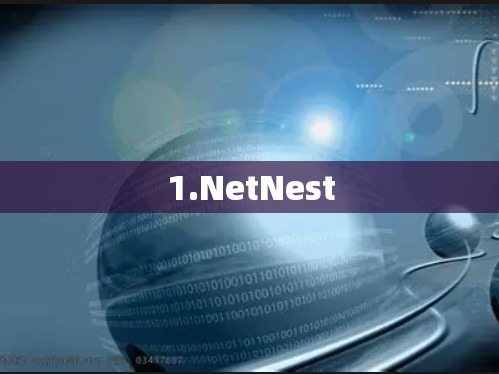 1.NetNest