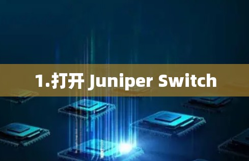 1.打开 Juniper Switch