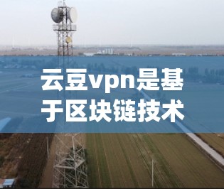 云豆vpn是基于区块链技术的虚拟货币，允许用户进行交易和支付。以下是使用云豆vpn的简单步骤