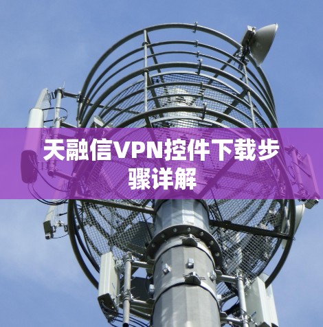 天融信VPN控件下载步骤详解