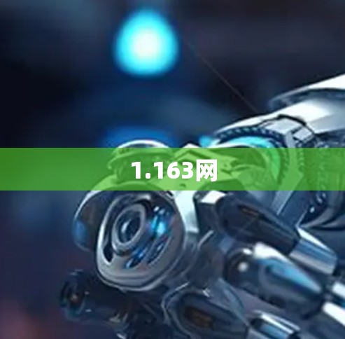 1.163网