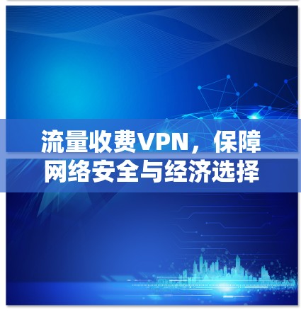 流量收费VPN，保障网络安全与经济选择的未来