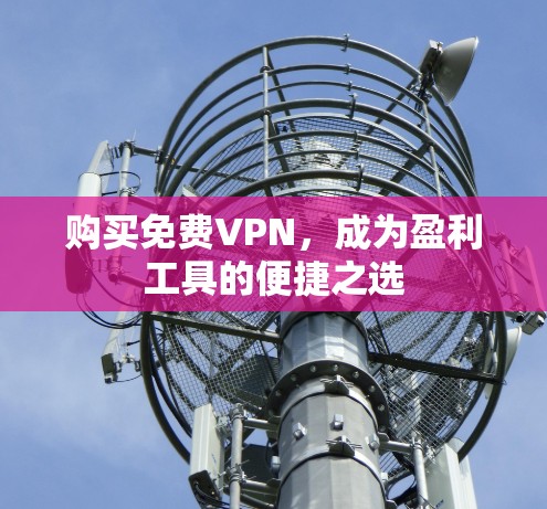 购买免费VPN，成为盈利工具的便捷之选