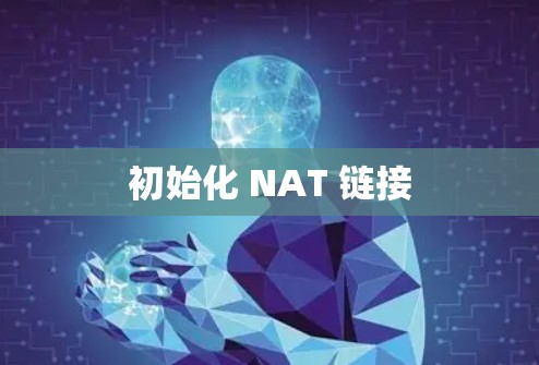 初始化 NAT 链接 初始化 NAT 链接