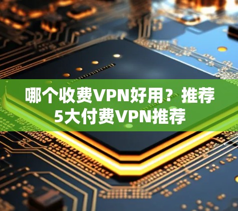 哪个收费VPN好用？推荐5大付费VPN推荐