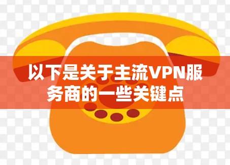 以下是关于主流VPN服务商的一些关键点