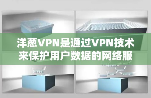 洋葱VPN是通过VPN技术来保护用户数据的网络服务，通常分为iOS和Android版本。对于安卓用户，洋葱VPN的下载和安装步骤如下