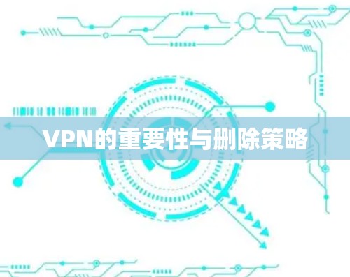 VPN的重要性与删除策略