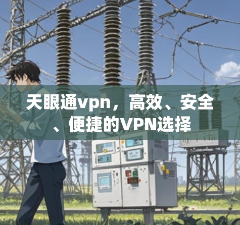 天眼通vpn，高效、安全、便捷的VPN选择