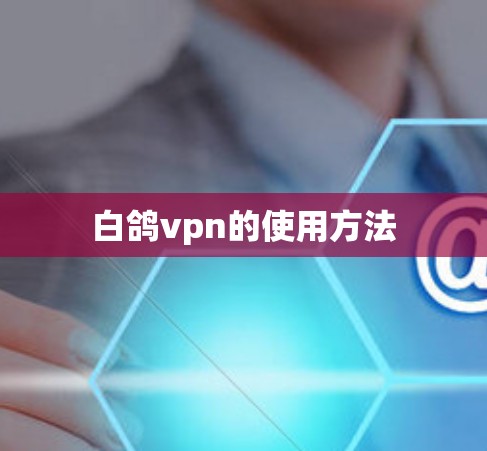 白鸽vpn的使用方法