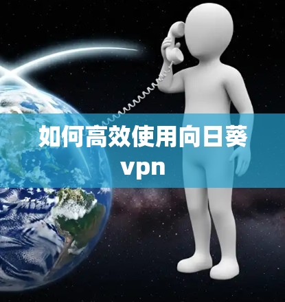 如何高效使用向日葵vpn