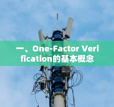 一、One-Factor Verification的基本概念