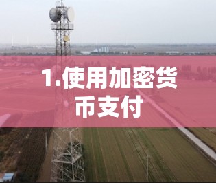1.使用加密货币支付 1.使用加密货币支付