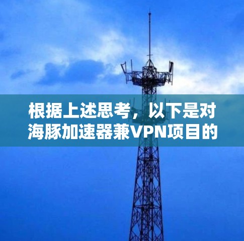 根据上述思考，以下是对海豚加速器兼VPN项目的总结和分析