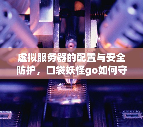 虚拟服务器的配置与安全防护，口袋妖怪go如何守护玩家的隐私