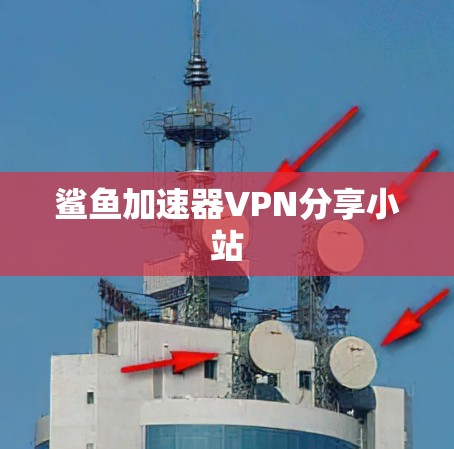 鲨鱼加速器VPN分享小站