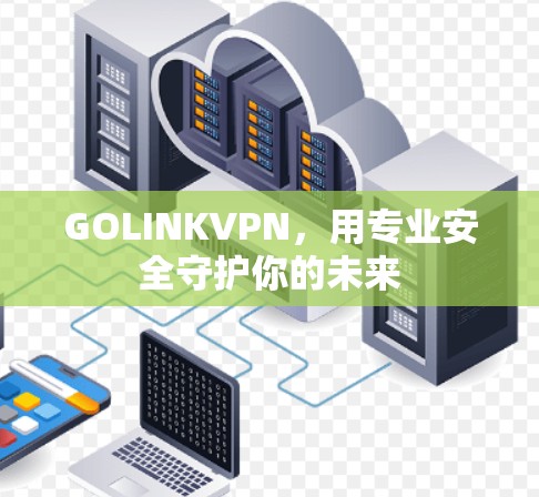 GOLINKVPN，用专业安全守护你的未来