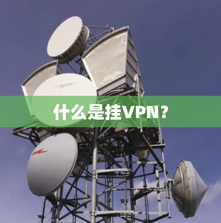 什么是挂VPN? 什么是挂VPN?