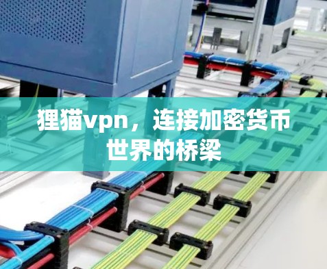 狸猫vpn，连接加密货币世界的桥梁
