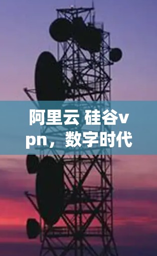 阿里云 硅谷vpn，数字时代守护云安全的守护者