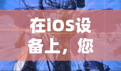 在iOS设备上，您可以尝试以下几种免费VPN服务，以下是详细的步骤和注意事项