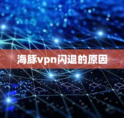 海豚vpn闪退的原因