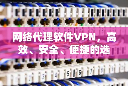 网络代理软件VPN，高效、安全、便捷的选择