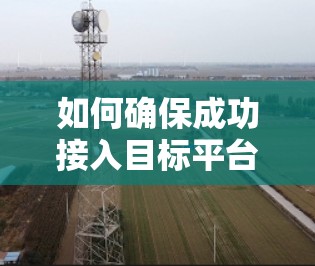 如何确保成功接入目标平台的VPN连接