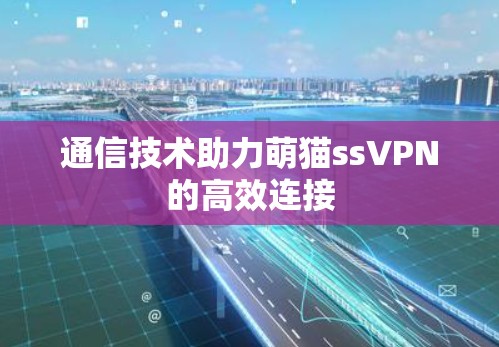 通信技术助力萌猫ssVPN的高效连接