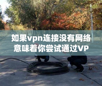 如果vpn连接没有网络意味着你尝试通过VPN连接到某个服务器或网站，但没有成功，那么可能是以下原因导致的