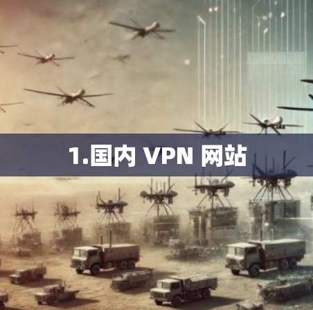 1.国内 VPN 网站
