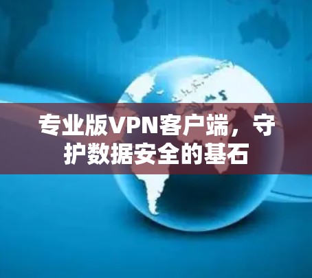 专业版VPN客户端，守护数据安全的基石