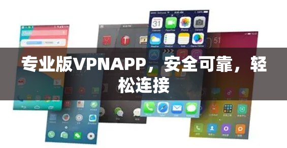 专业版VPNAPP，安全可靠，轻松连接